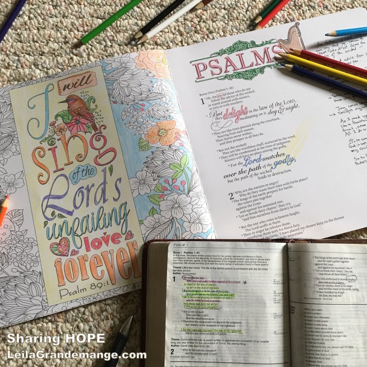 Christian adult coloring book