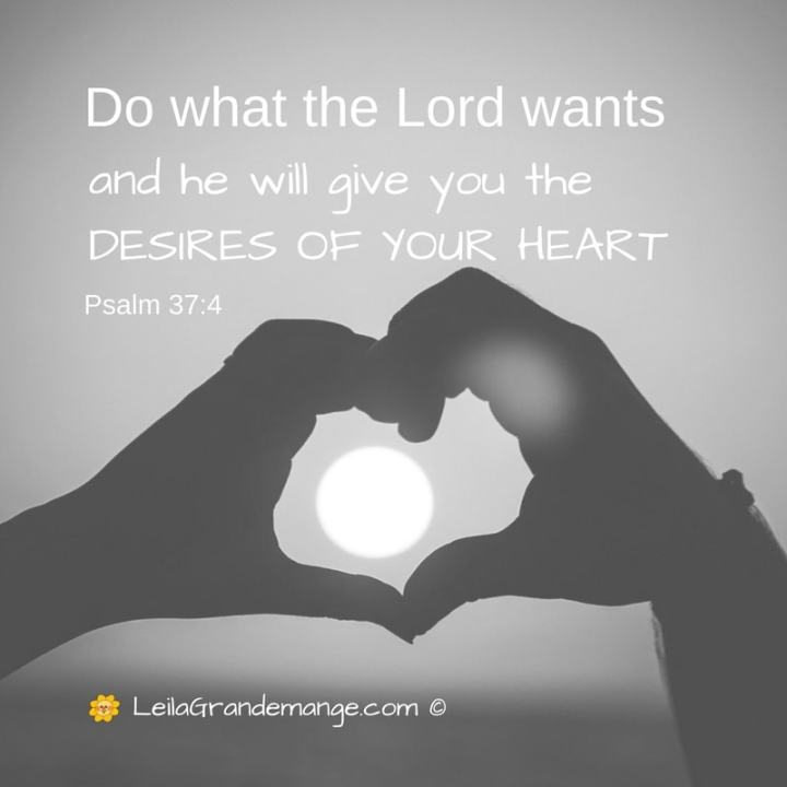 What’s Your Dream? [10 Encouraging Steps To Make Your Dreams Come&nbsp;True]