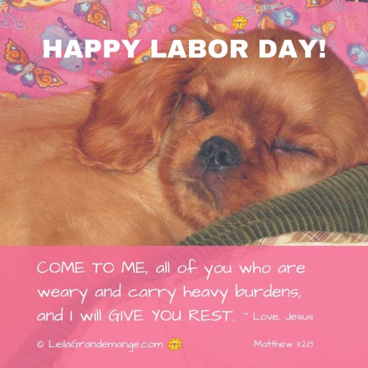 A DAY OFF FROM&nbsp;WORRY!