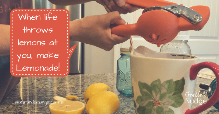 When Life Throws Lemons . .&nbsp;.