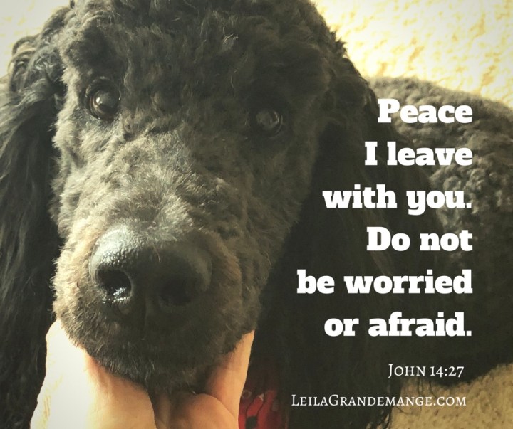 It’s Going to be&nbsp;Okay