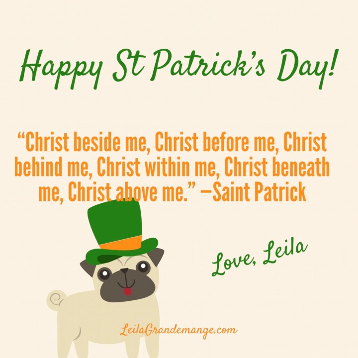 St. Patrick [The Real&nbsp;Story]🍀