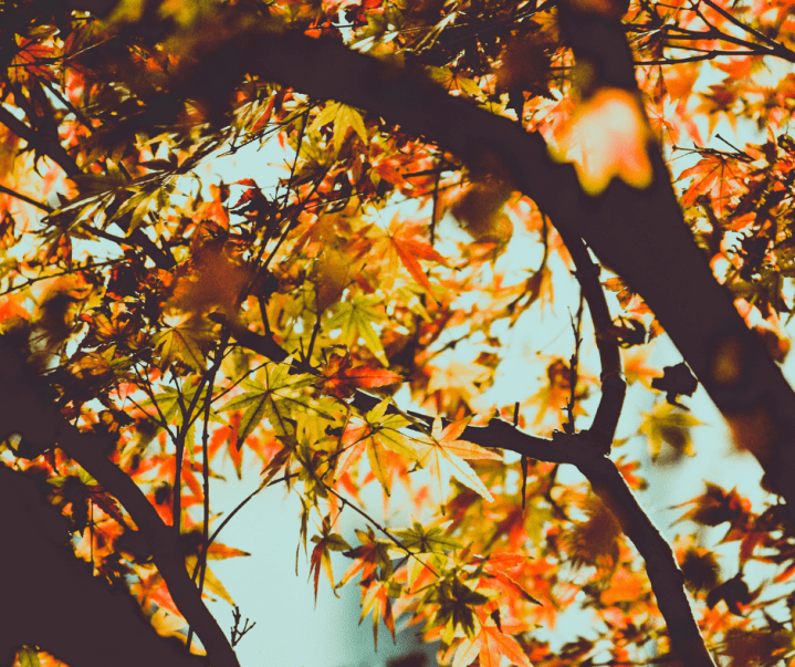 Be the Change You Wish to&nbsp;See