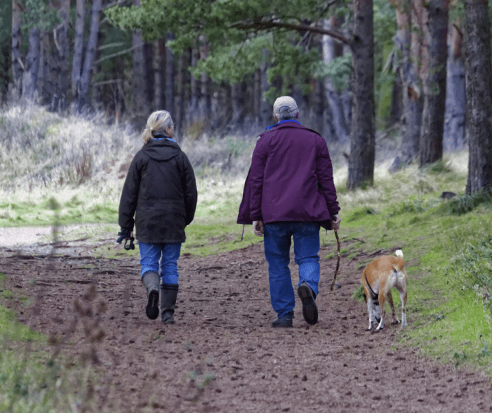 7 Amazing Benefits to Walking With Your&nbsp;Dog!