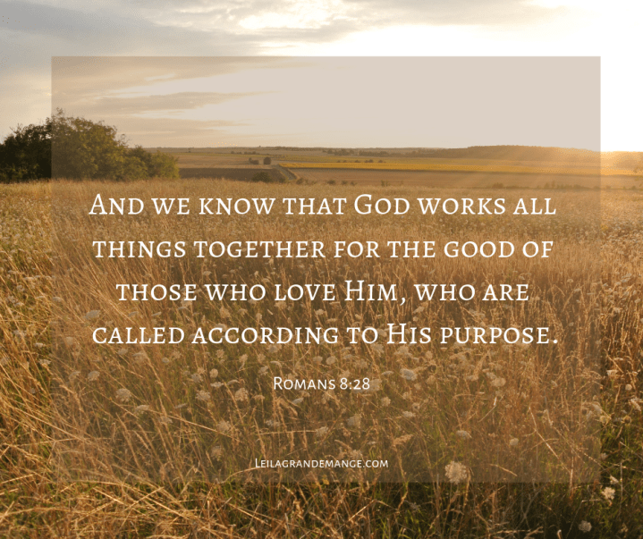 Happiness Tip [Believe God is Working All Things For&nbsp;Good]