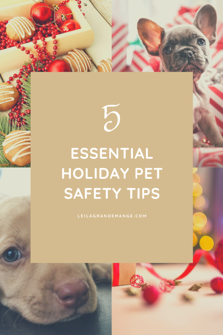 5 Essential Holiday Pet Safety&nbsp;Tips