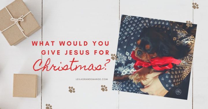 What Would You Give Jesus for Christmas— A&nbsp;Dog?