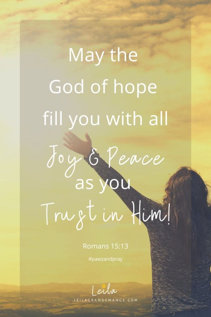 May the God of hope fill you with all joy and peace as you trust in him, so that you may overflow with hope by the power of the Holy Spirit. — Romans 15:13