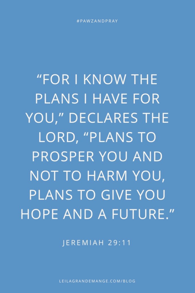 “For I know the plans I have for you,” declares the Lord, “plans to prosper you and not to harm you, plans to give you a hope and a future.” — Jeremiah 29:11