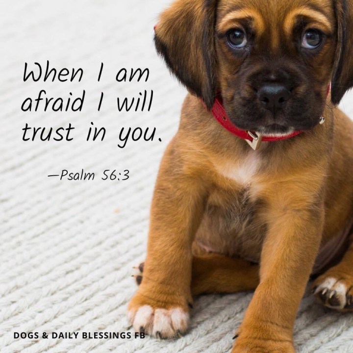 When I am Afraid&nbsp;Thoughts