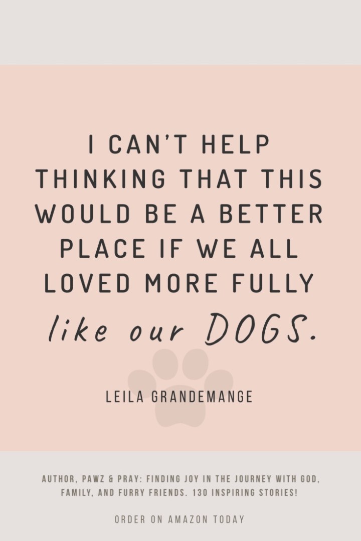 Happy Thoughts for Dog&nbsp;Lovers