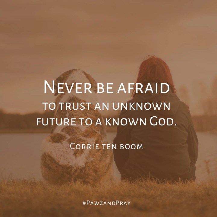 NEVER BE AFRAID [Short Encouraging&nbsp;Words]