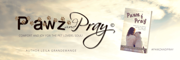 Paws and Reflect [Everyone Needs&nbsp;Hope…]