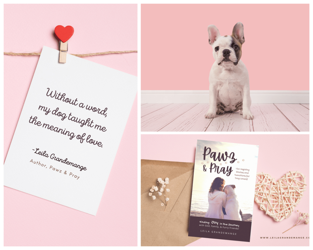 Faith stories for dog lovers, Valentine's Day Gift Ideas for Dog Lovers