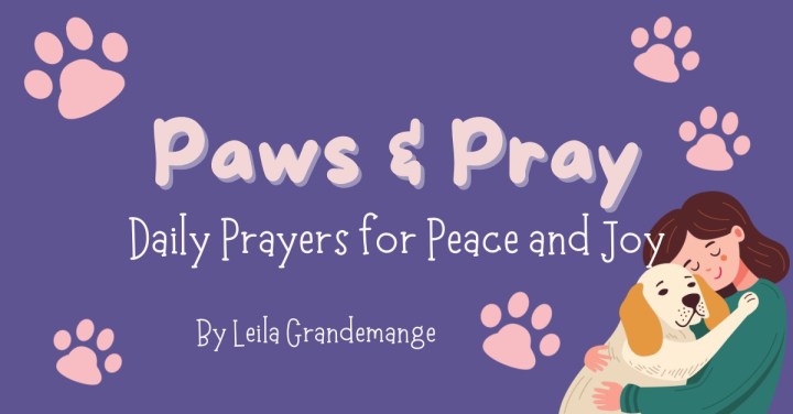 Paws and Pray Daily [1 Thessalonians&nbsp;5:17]
