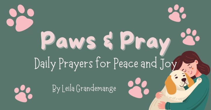 Paws and Pray Daily [Psalm&nbsp;118:24]