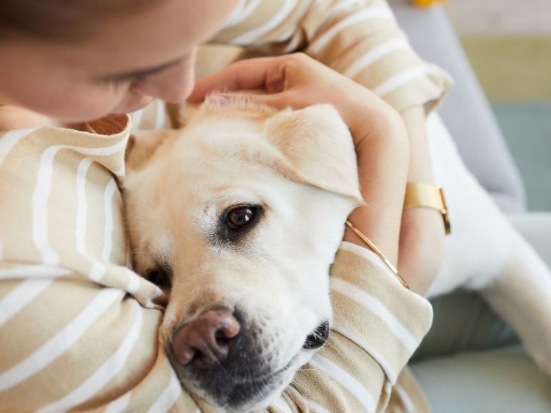 When Anxiety Was&nbsp;Great