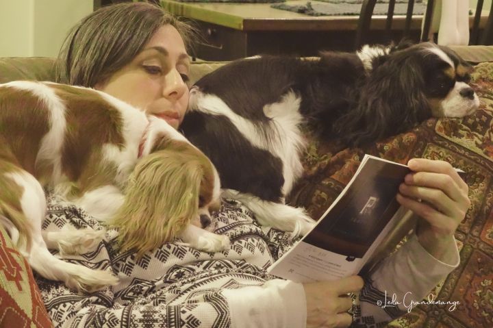 A Pawfect Mother’s Day: A Letter from Fur Babies to Dog&nbsp;Moms
