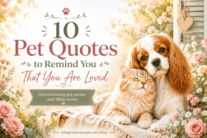 10 Heartwarming Reminders of God’s Love for Pet&nbsp;Lovers