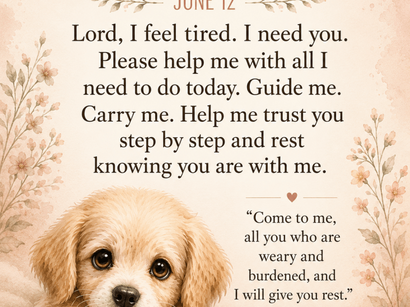 Pawz & Pray: A Prayer for the Weary&nbsp;Heart