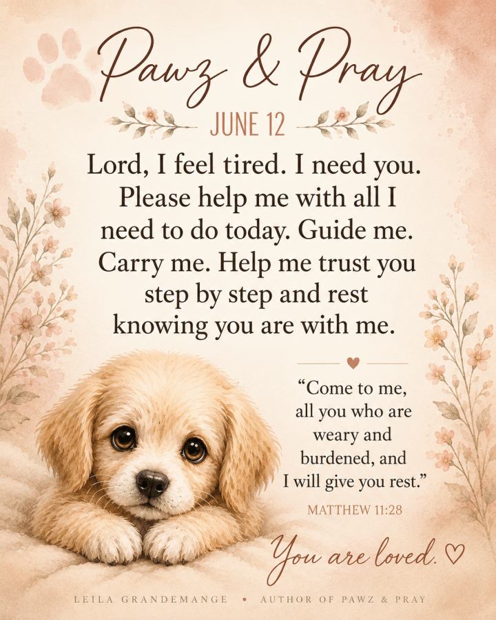 Pawz & Pray: A Prayer for the Weary&nbsp;Heart