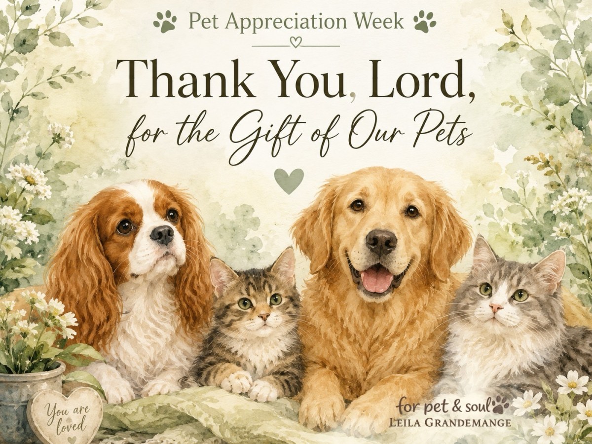 Thank You, Lord, for the Gift of Our&nbsp;Pets