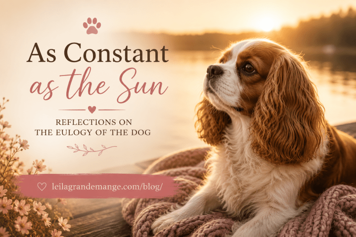 As Constant as the Sun | Reflections on the Eulogy of the&nbsp;Dog