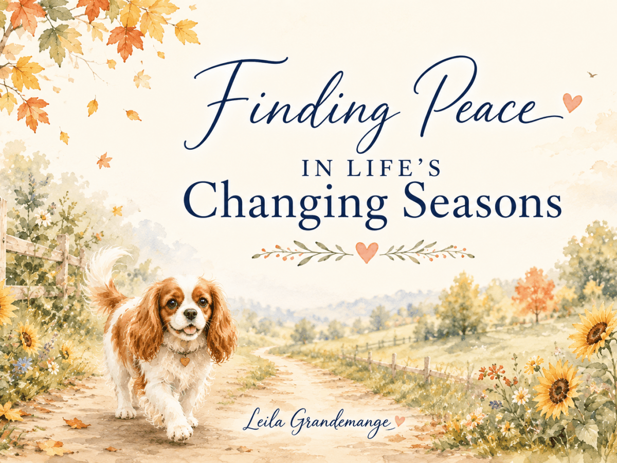 Finding Peace in Life’s Changing&nbsp;Seasons
